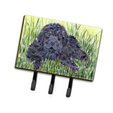 Caroline'S Treasures Ss8872Th68 Newfoundland Leash Holder Or Key Hook, Large, Multicolor