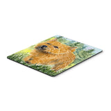 Caroline'S Treasures Norwich Terrier Mouse Pad/Hot Pad/Trivet (Ss8878Mp)