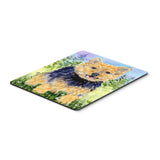 Caroline'S Treasures Norwich Terrier Mouse Pad/Hot Pad/Trivet (Ss8894Mp)
