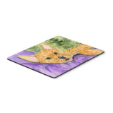 Caroline'S Treasures Norwich Terrier Mouse Pad/Hot Pad/Trivet (Ss8898Mp)