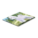 Caroline'S Treasures Bichon Frise Mouse Pad/Hot Pad/Trivet (Ss8900Mp)