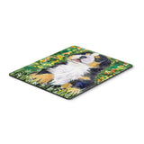 Caroline'S Treasures Bernese Mountain Dog Mouse Pad/Hot Pad/Trivet (Ss8955Mp)