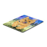 Caroline'S Treasures Norwich Terrier Mouse Pad/Hot Pad/Trivet (Ss8993Mp)