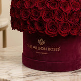 Supreme Bordeaux Suede Superdome Box | Burgundy Roses