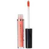 High Shine Lip Gloss