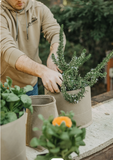 Grass Roots Classic Fabric Pots