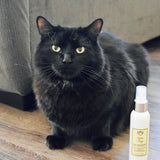 Lemon Drop Eau de Pooch Pet Fragrance and Hair Detangler Spray