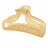 Translucent Clawed Hair Clip
