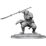 D&D Frameworks: Paint Kit - Drider