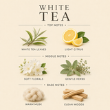White Tea Body Lotion – Hydrating Moisturizer (10 OZ)