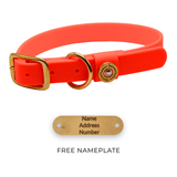 Barrows Dog Collar - Orange