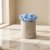 Essence Beige Suede Box | Light Blue Roses
