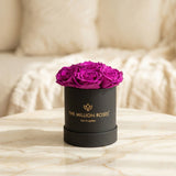 Essence Black Box | Bright Purple Roses