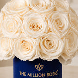Essence Royal Blue Suede Superdome Box | White Roses