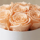Essence White Box | Peach Roses