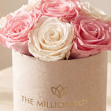 Essence Beige Suede Box | Light Pink & White Roses
