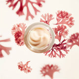 Shiseido Benefiance Wrinkle Smoothing Cream