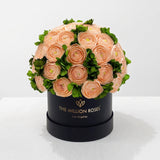 Classic Black Box | Peach Persian Buttercups & Green Hydrangeas