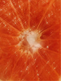 Colour Care Shampoo β Peachy Grapefruit Zest