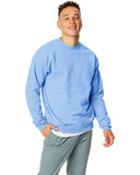 Unisex Ecosmart 5050 crewneck Sweatshirt cARDINAL S(D0102H7KFVX)