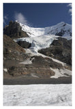 Mount Andromeda And Athabasca Glacier Showing Cirque, Jasper National Park, Alberta, Canada-Paper Art-26,,X38,,