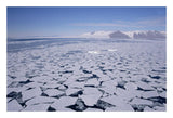 Sea Ice Break-Up, Aerial View, Transantarctic Mountains, New Harbour, Mcmurdo Sound, Ross Sea, Antarctica-Paper Art-26,,X18,,