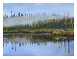 Fog Over Lake, Ontario, Canada-Paper Art-26,,X20,,
