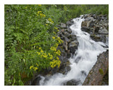 Creek Near Silverton, Colorado-Paper Art-26,,X20,,