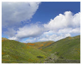 Temescal Hills, Southern California-Paper Art-50,,X38,,