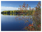 Tobique River, New Brunswick, Canada-Paper Art-42,,X32,,