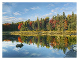 Coastline, Mount Desert Island, Maine-Paper Art-34,,X26,,
