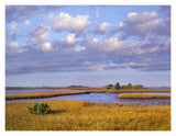 Saltwater Marshes At Cedar Key, Florida-Paper Art-18,,X14,,