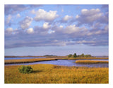 Saltwater Marshes At Cedar Key, Florida-Paper Art-26,,X20,,