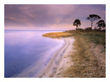 Beach Along Saint Joseph'S Bay, Florida-Paper Art-26,,X20,,