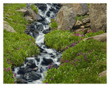 Porphyry Creek Near Silverton, Colorado-Paper Art-34,,X26,,
