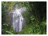Waterfall Along Hana Coast, Maui, Hawaii-Paper Art-34,,X26,,