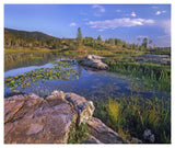 Scout Lake, San Juan Mountains, Colorado-Paper Art-46,,X38.52,,
