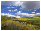 Gunnison National Forest In Fall, Colorado-Paper Art-50,,X38,,