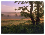 Tallgrass Prairie National Preserve, Kansas-Paper Art-34,,X26,,