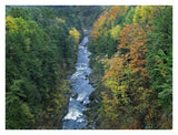 Ottauquechee River And Quechee Gorge, Vermont-Paper Art-34,,X26,,