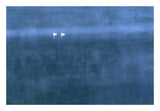Trumpeter Swan Pair On Misty Elk Lake, Montana-Paper Art-26,,X18,,