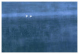 Trumpeter Swan Pair On Misty Elk Lake, Montana-Paper Art-50,,X34,,