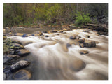 Oak Creek At Grasshopper Point, Sedona, Arizona-Paper Art-18,,X14,,