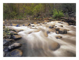 Oak Creek At Grasshopper Point, Sedona, Arizona-Paper Art-26,,X20,,