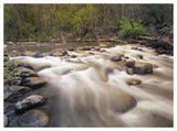 Oak Creek At Grasshopper Point, Sedona, Arizona-Paper Art-50,,X38,,