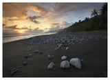 Rocks On Beach, Corcovado National Park, Costa Rica-Paper Art-46,,X33.24,,