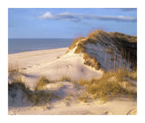 Coastal Sand Dunes, Saint Joseph Peninsula, Florida-Paper Art-18,,X15.28,,