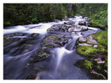 Paradise River, Mt Rainier National Park, Washington-Paper Art-18,,X14,,