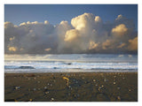 Beach And Waves, Corcovado National Park, Costa Rica-Paper Art-18,,X14,,