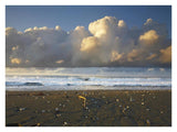 Beach And Waves, Corcovado National Park, Costa Rica-Paper Art-34,,X26,,